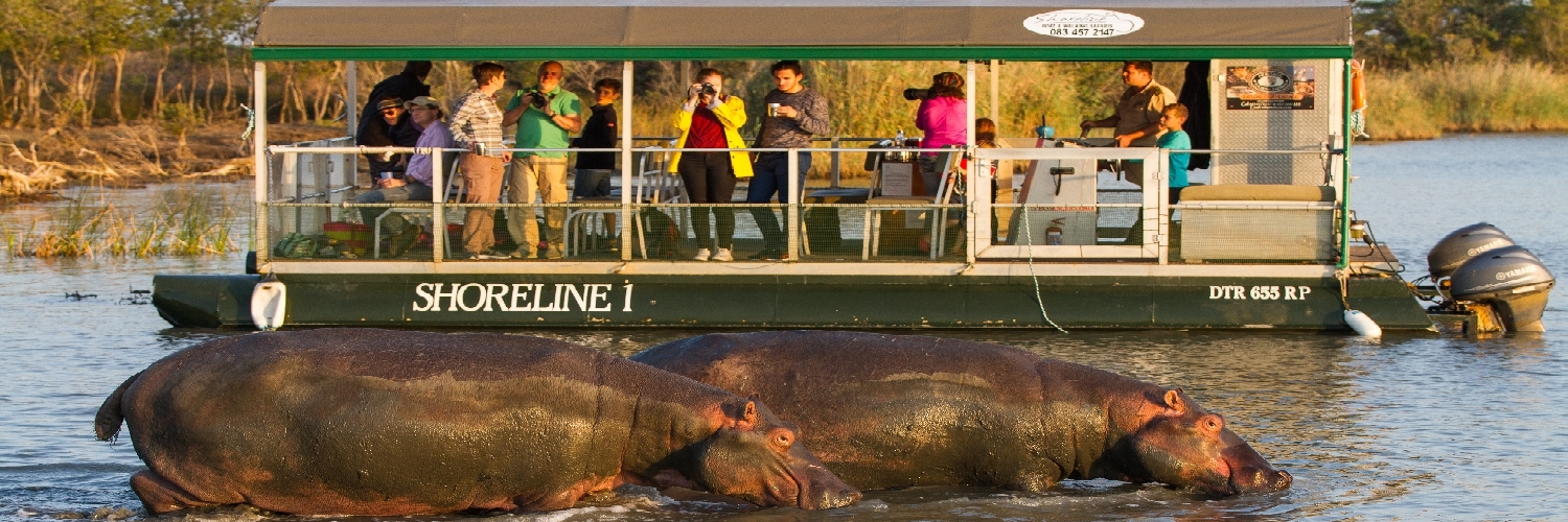 Hippo tour