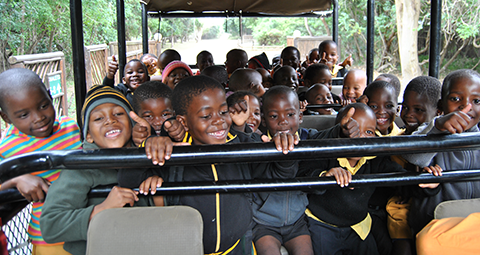 bushlands-school-168