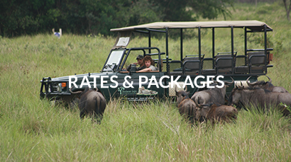 rates-packages