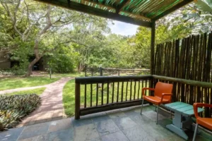 Birding in KwaZulu-Natal: Why Emdoneni Lodge is the Perfect Base for Your Birdwatching Adventure