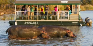 Take the Guesswork Out of Your Hluhluwe Holiday with Emdoneni Lodge Packages